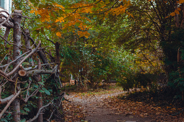 Similar image 21143366