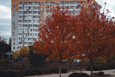 Similar image 21143368