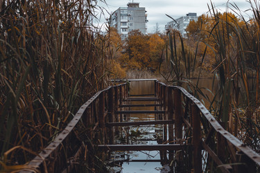 Similar image 21143370