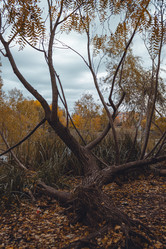 Similar image 21143371