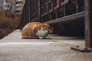 Similar image 21143372