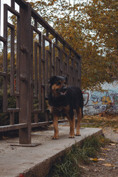 Similar image 21143373