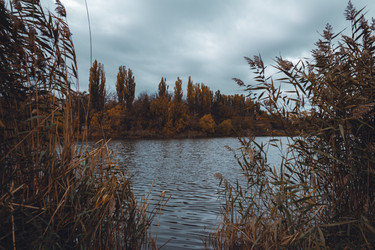 Similar image 21143375