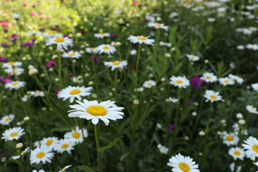 Similar image 21145921