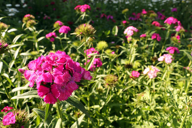 Similar image 21145922