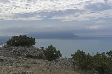 Similar image 21143646