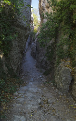 Similar image 21143649