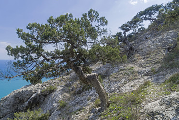 Similar image 21143651