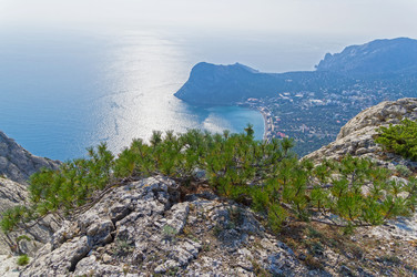 Similar image 21143654