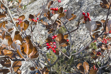 Similar image 21143655