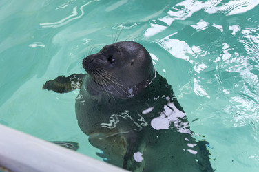 Similar image 21143660