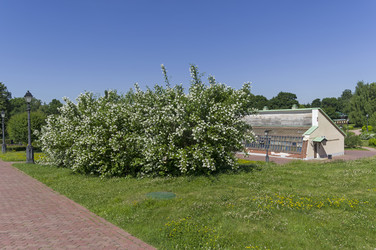 Similar image 21143661