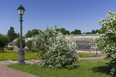 Similar image 21143662