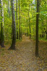 Similar image 21143666