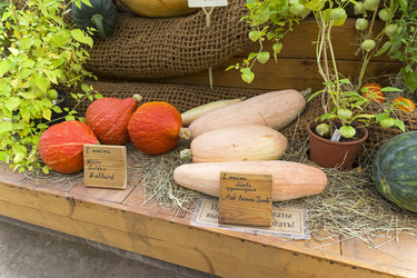 Similar image 21143669