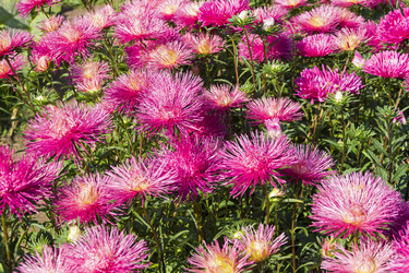 Similar image 21143670