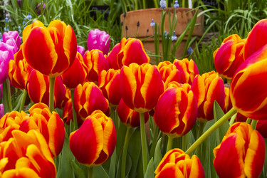 Similar image 21143671