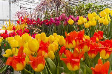 Similar image 21143672