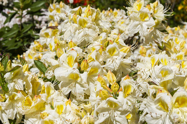 Similar image 21143678