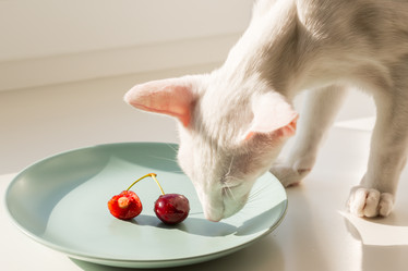 Similar image 21143680