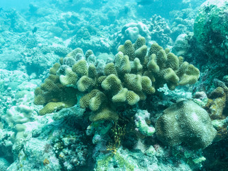 Similar image 21143685