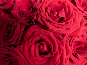 Similar image 21143686