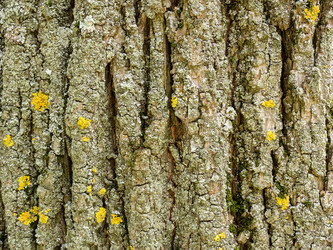 Similar image 21143687