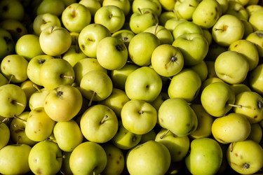 Similar image 21143700