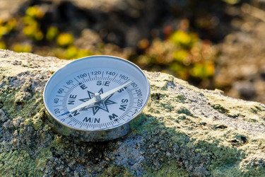 Similar image 21143706