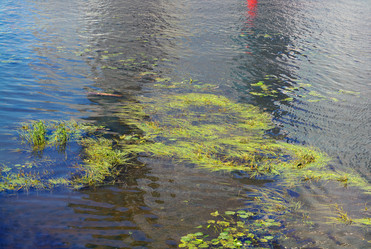 Similar image 21143880