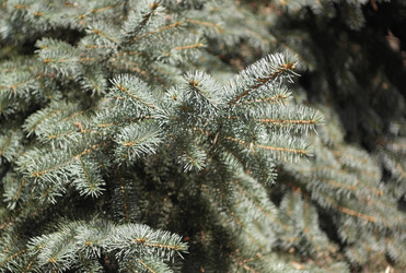 Similar image 21143884