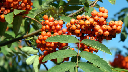 Similar image 21143888