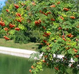 Similar image 21143890