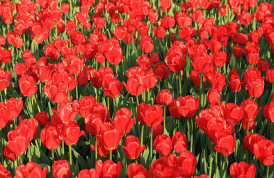 Similar image 21143891