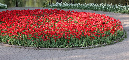 Similar image 21143893