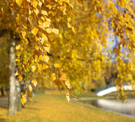 Similar image 21143894