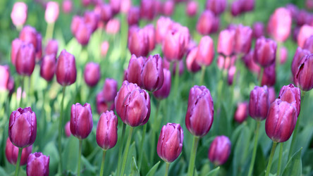 Similar image 21143895