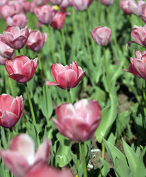 Similar image 21143898