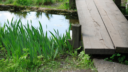 Similar image 21143899