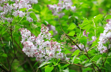 Similar image 21143905