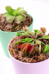 Similar image 21144399