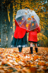 Similar image 21144403