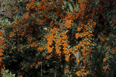 Similar image 21154911