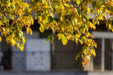 Similar image 21150141