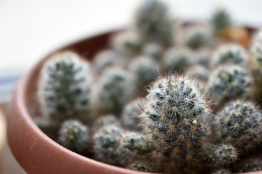 Similar image 21144452