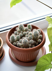 Similar image 21144453