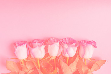 Similar image 21165246