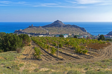 Similar image 21145479