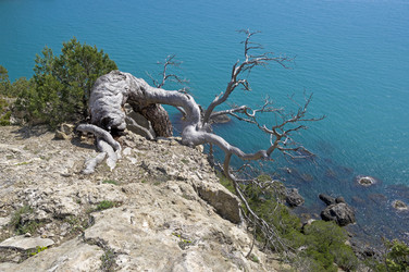 Similar image 21145482