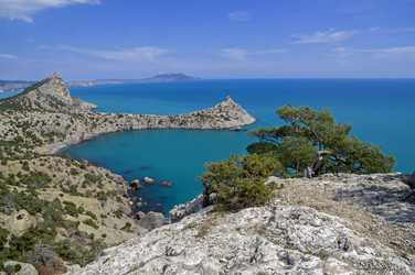 Similar image 21145483